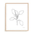 Doodle Leaves III Wall Art