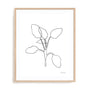 Doodle Leaves III Wall Art
