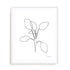 Doodle Leaves III Wall Art