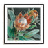 Deep Tropical Protea Crop Wall Art