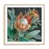Deep Tropical Protea Crop Wall Art