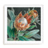Deep Tropical Protea Crop Wall Art