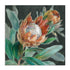 Deep Tropical Protea Crop Wall Art