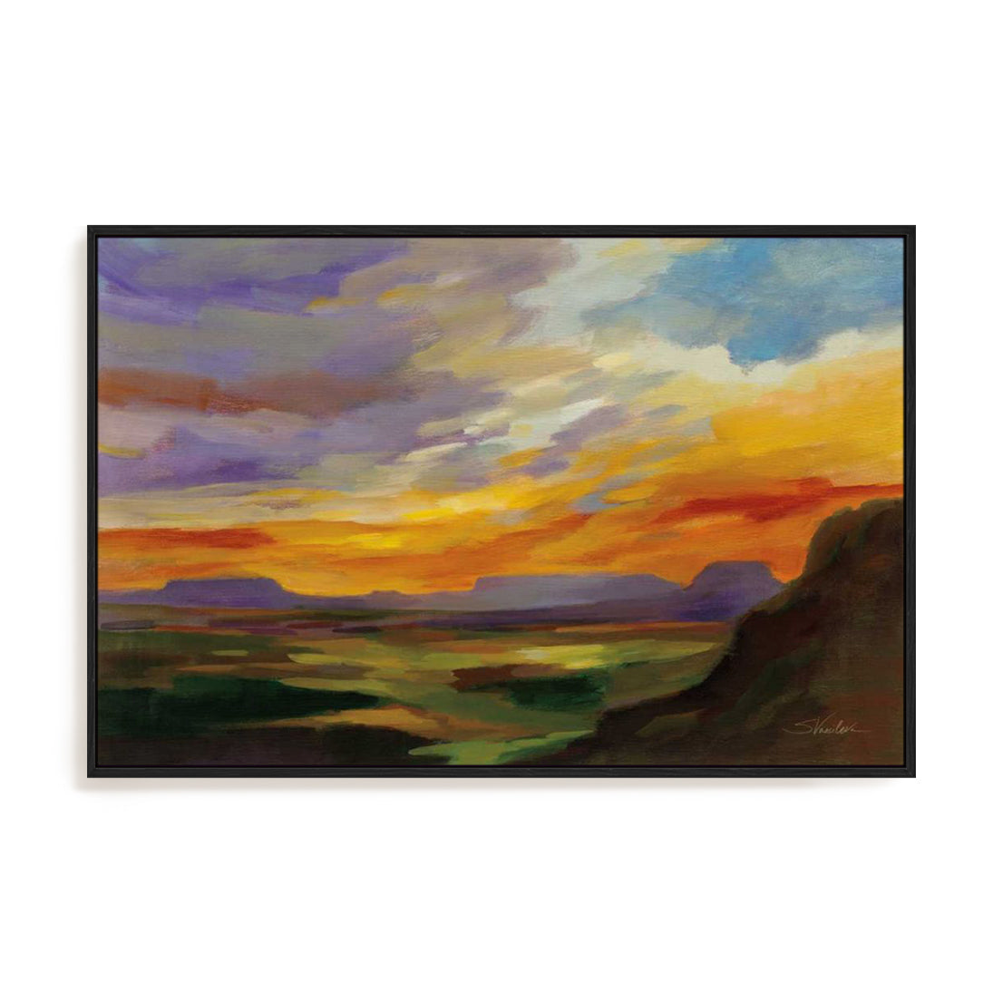 Sonoran Desert Sunset Wall Art