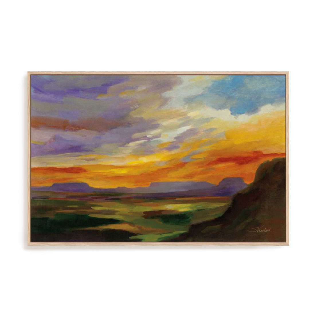Sonoran Desert Sunset Wall Art