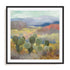 High Desert II Wall Art