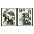 Tropical Study Linen II and IV Wall Art