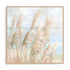 Seaside Pampas Grass Wall Art