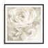 White Rose Gray Wall Art
