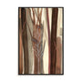Woodland Awakening Wall Art