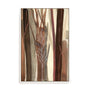 Woodland Awakening Wall Art