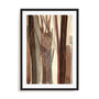 Woodland Awakening Wall Art