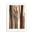 Woodland Awakening Wall Art