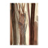 Woodland Awakening Wall Art