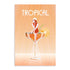 Tropical Drink Wall Art