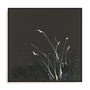 Dusting I Framed Wall Art for Living Room, Bedroom, Hallways and Kitchen Spaces