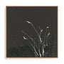 Dusting I Framed Wall Art for Living Room, Bedroom, Hallways and Kitchen Spaces