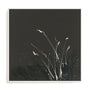Dusting I Framed Wall Art for Living Room, Bedroom, Hallways and Kitchen Spaces