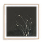 Dusting I Framed Wall Art for Living Room, Bedroom, Hallways and Kitchen Spaces