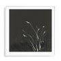 Dusting I Framed Wall Art for Living Room, Bedroom, Hallways and Kitchen Spaces