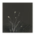 Dusting II Framed Wall Art for Living Room, Bedroom, Hallways and Kitchen Spaces