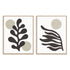 Organics Neutral II and III Wall Art