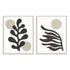 Organics Neutral II and III Wall Art