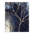 Noir Scape IV Wall Art
