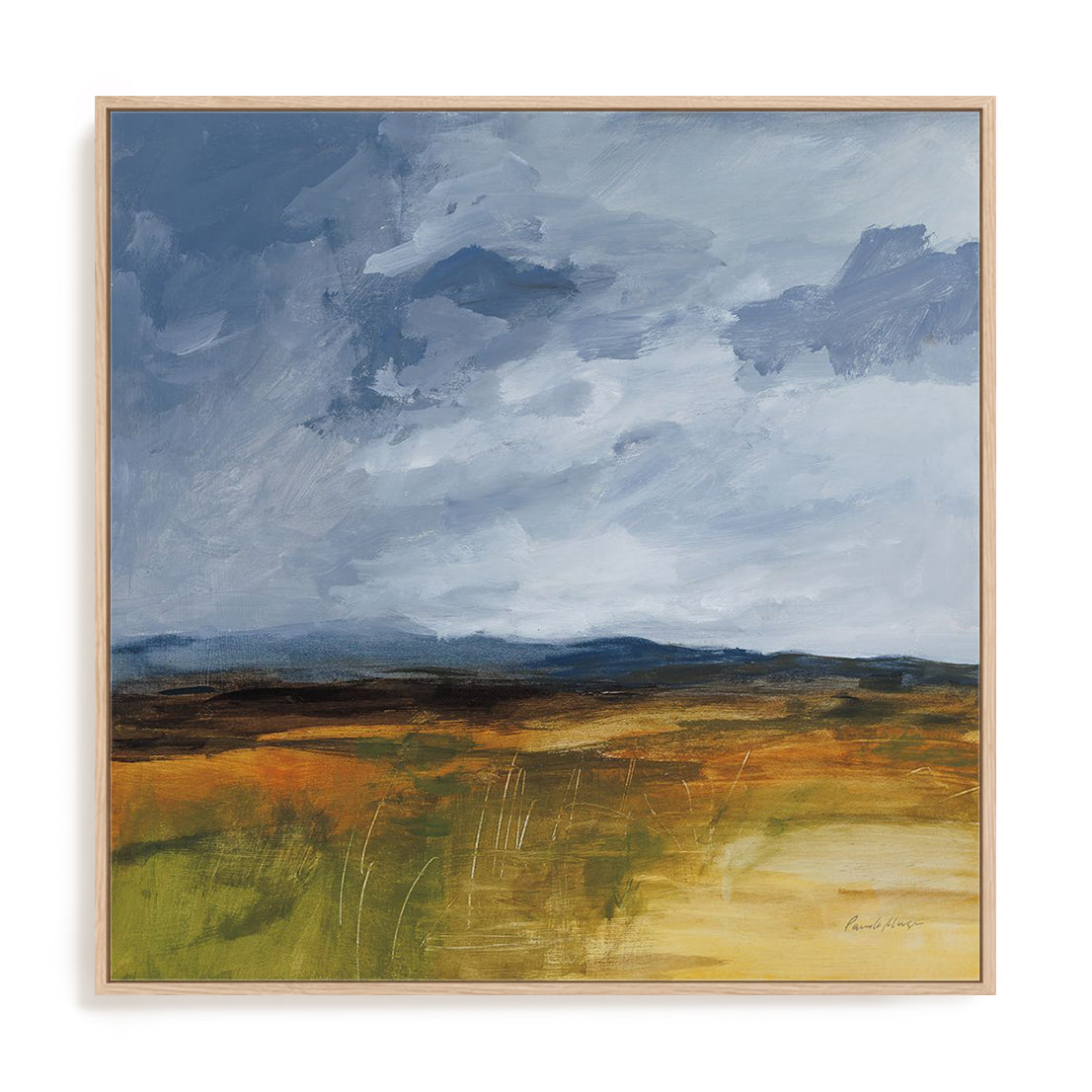 Storm Over Buckhorn Framed Wall Art for Living Room, Bedroom, Hallways and Kitchen Spaces