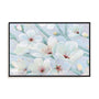 Blossom Time II Wall Art