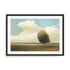 Windblown Tree Art in Stretched Canvas, Framed Print Under Glass, and Gallery Wrapped Shadow Box Canvas