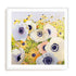 Pastels Wall Art #oran_white-white-border