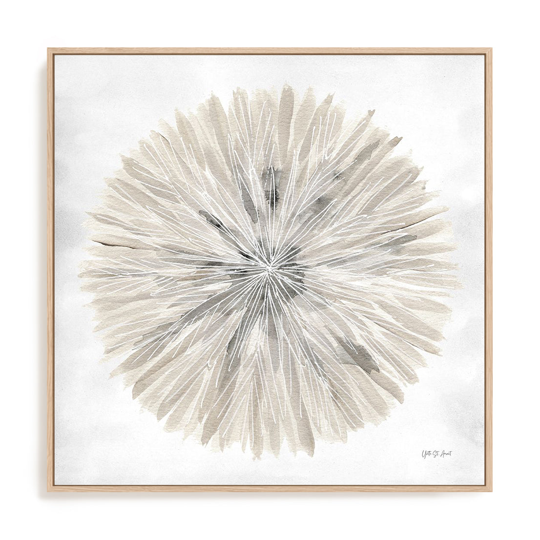 Natures Pinwheel I Framed Wall Art for Living Room, Bedroom, Hallways and Kitchen Spaces