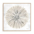 Natures Pinwheel I Framed Wall Art for Living Room, Bedroom, Hallways and Kitchen Spaces