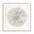 Natures Pinwheel I Framed Wall Art for Living Room, Bedroom, Hallways and Kitchen Spaces