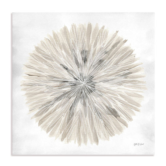 Natures Pinwheel I Framed Wall Art for Living Room, Bedroom, Hallways and Kitchen Spaces