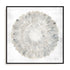 Natures Pinwheel II Framed Wall Art for Living Room, Bedroom, Hallways and Kitchen Spaces