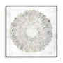 Natures Pinwheel II Framed Wall Art for Living Room, Bedroom, Hallways and Kitchen Spaces