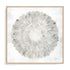 Natures Pinwheel II Framed Wall Art for Living Room, Bedroom, Hallways and Kitchen Spaces