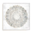Natures Pinwheel II Framed Wall Art for Living Room, Bedroom, Hallways and Kitchen Spaces