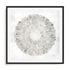Natures Pinwheel II Framed Wall Art for Living Room, Bedroom, Hallways and Kitchen Spaces