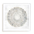Natures Pinwheel II Framed Wall Art for Living Room, Bedroom, Hallways and Kitchen Spaces