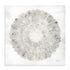 Natures Pinwheel II Framed Wall Art for Living Room, Bedroom, Hallways and Kitchen Spaces