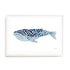 Humpback Whale Wall Art