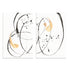 Teardrop I and II Wall Art